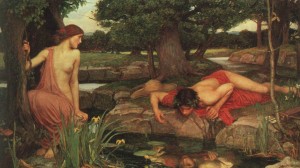 narcissus