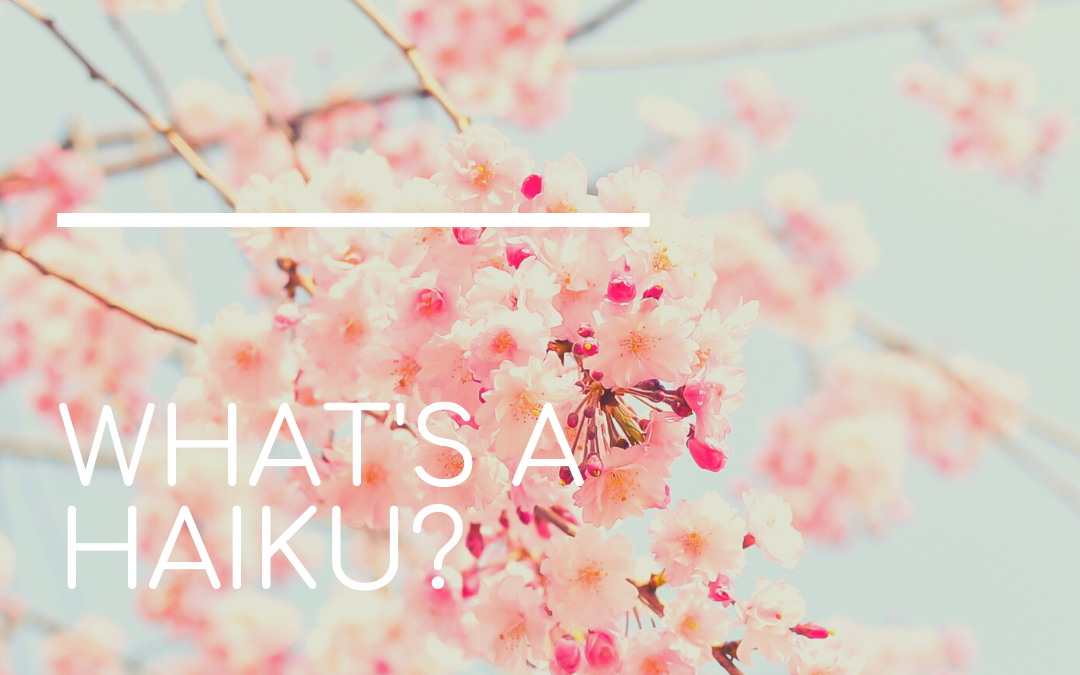 What is a haiku?